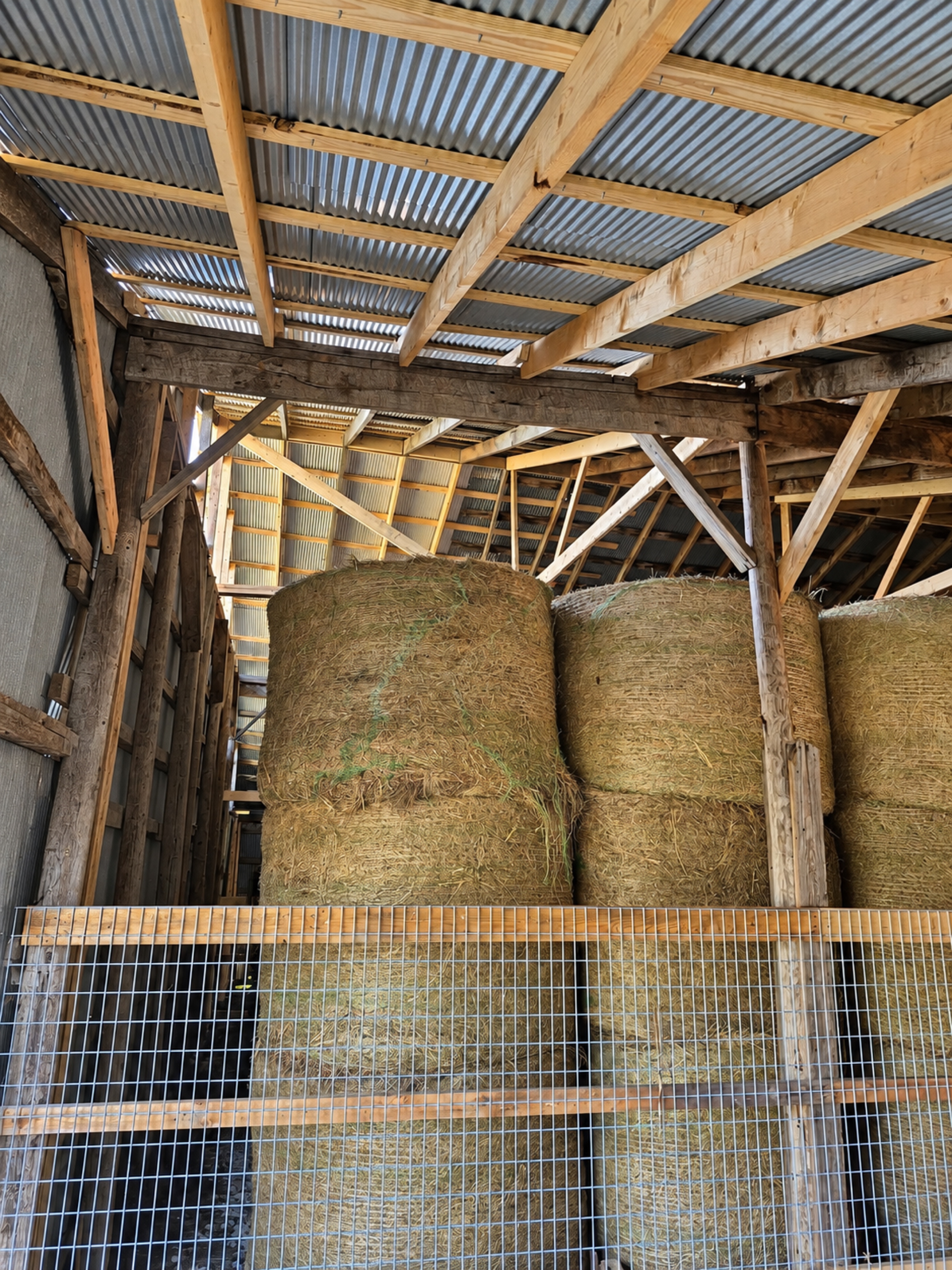 Hay bales stored beneath corrugated barn roofing and fresh timber framing