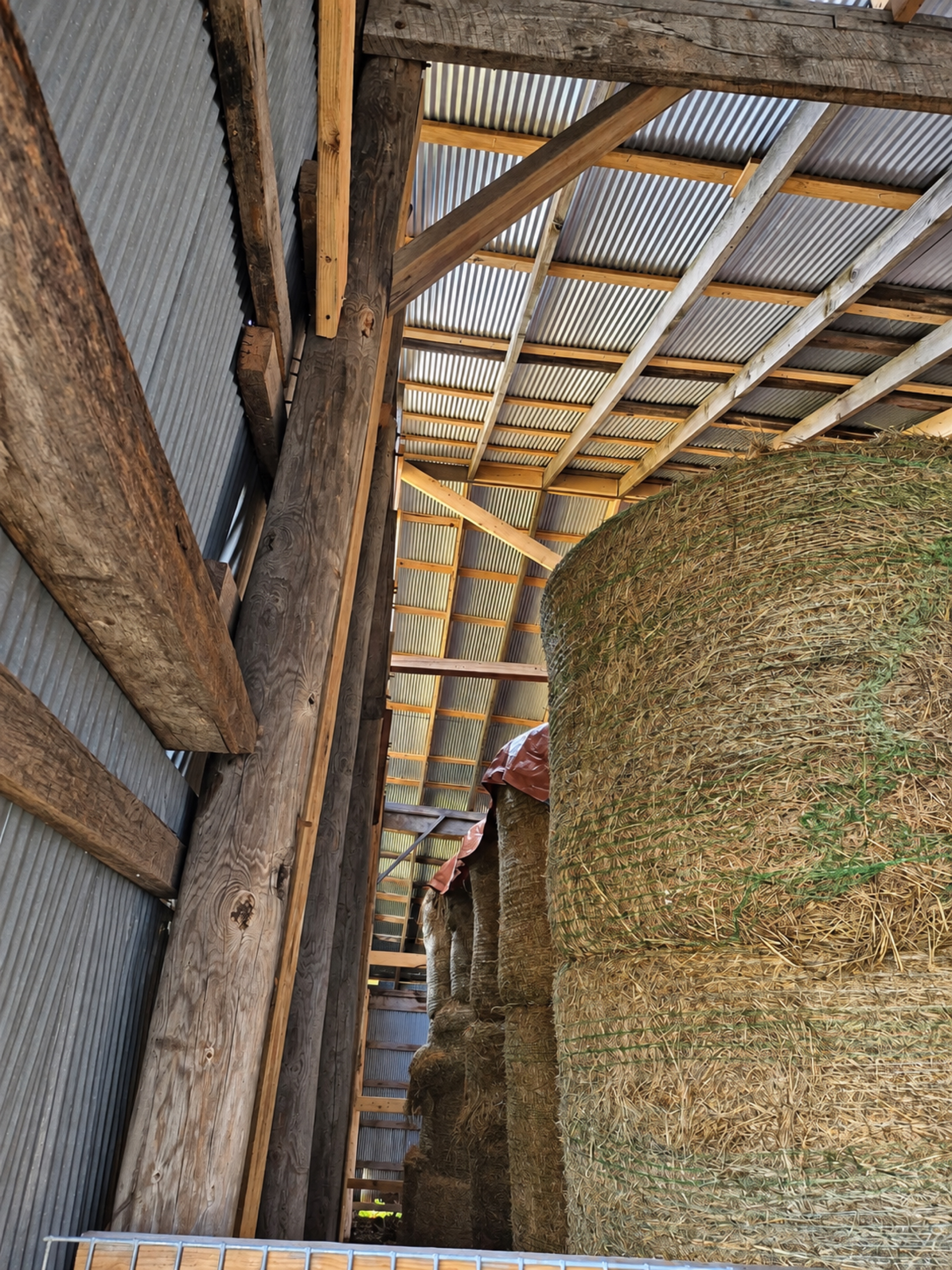 Close view along barn posts and roof rafters beside a row of hay bales