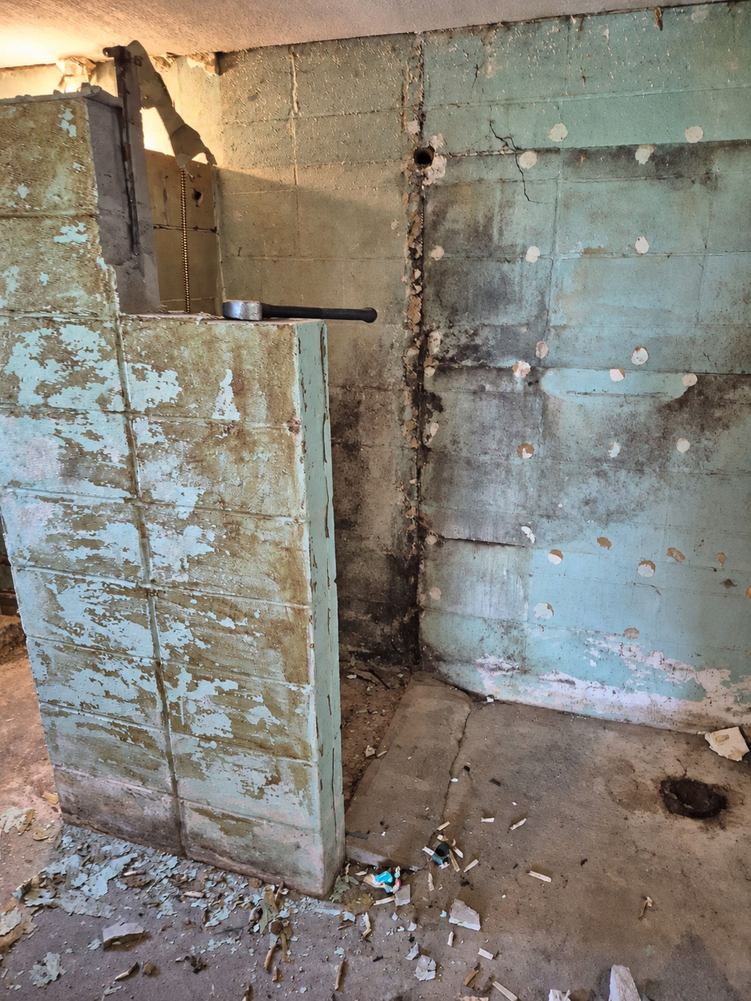 Unfinished basement masonry walls before renovation